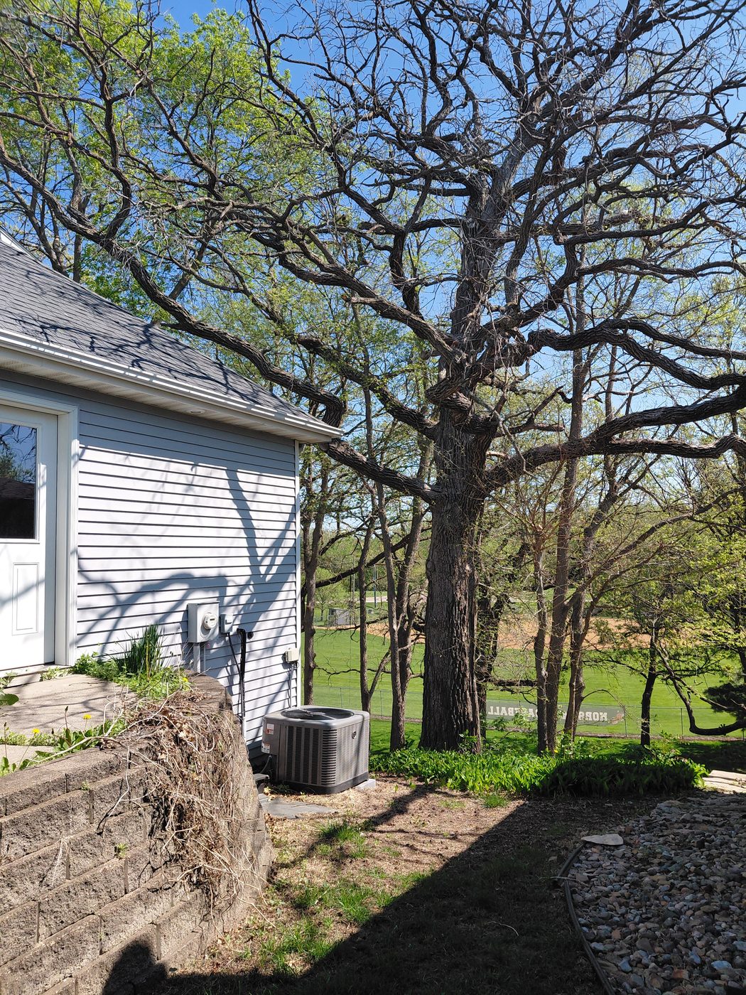 Tree removal in Central Iowa